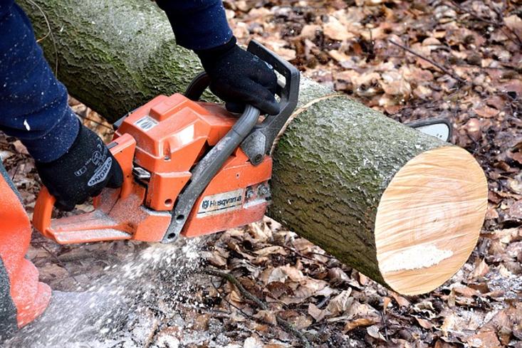 Rivoluzionare la silvicoltura: La Stihl Drone Chainsaw